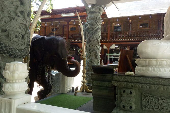 Colombo City Day Tour - Final Thoughts
