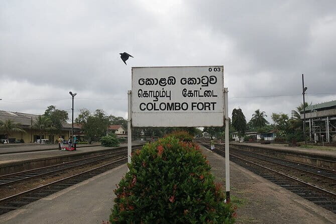 Colombo City Tour From Bentota - Key Points