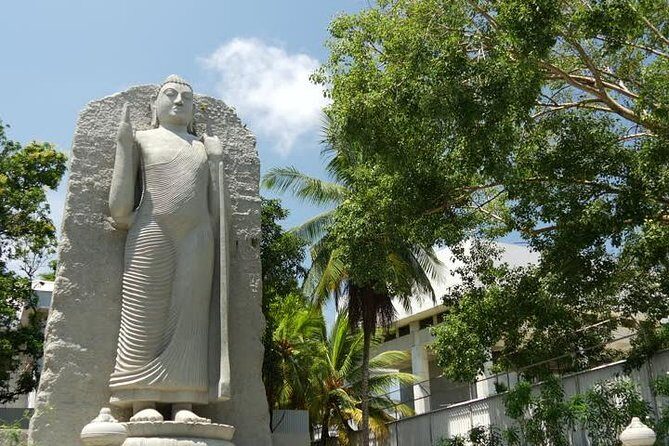 Colombo City Tour from Negombo - Who Should Book This Tour?