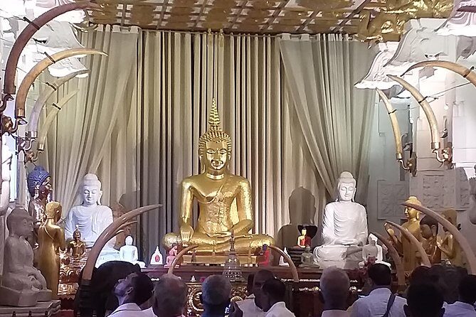 Colombo city tour starting from Negombo with License chauffeur Guide - Frequently Asked Questions