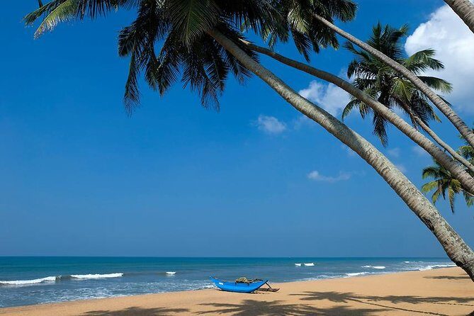 Colombo International Airport to Anywhere in Kalutara-Transport only - Final Thoughts: Is It For You?