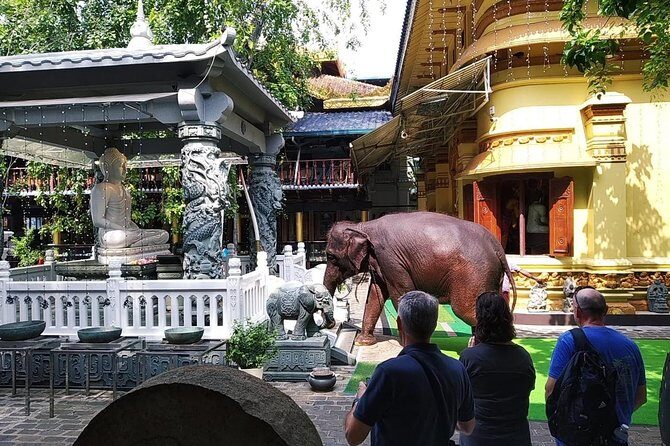 Colombo private City Tour by TukTuk Experience Morning or Evening - Practicalities and Tips