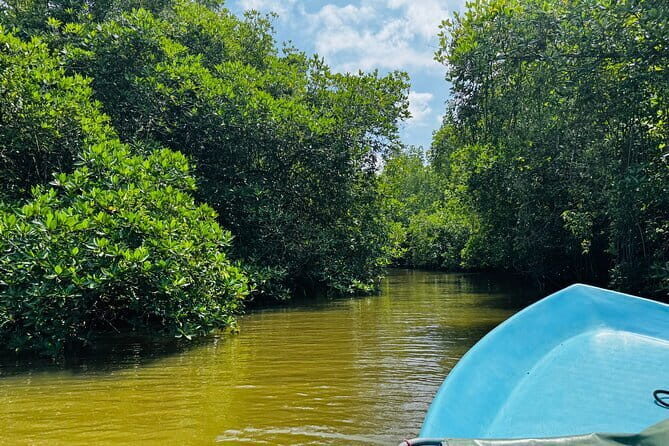 Colombo to Galle All Inclusive Private Day Tour - Why This Tour Is Worth Considering