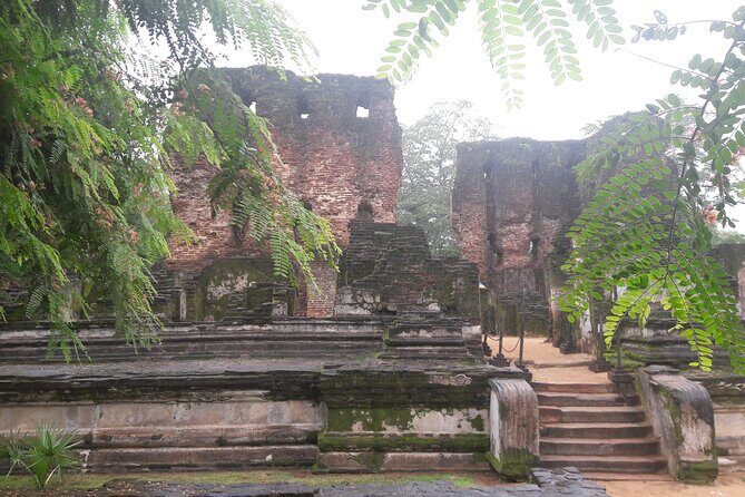 Colombo To Polonnaruwa,Dambulla,Sigiriya & Kandy 3 Day Tour - Transportation and Overall Comfort