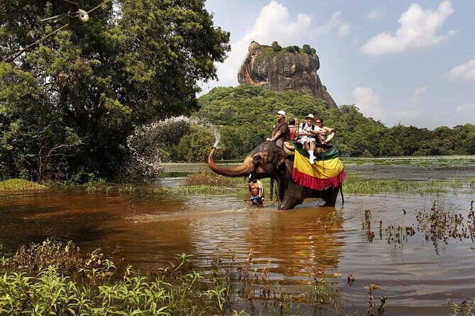 Colombo to Sigiriya and Dambulla Day Tour - A Deep Dive into the Experience