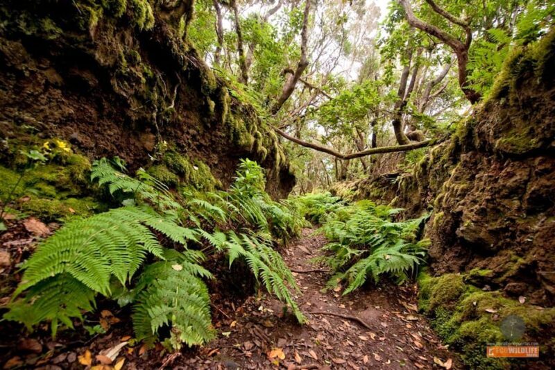 Colon Weekend Skies - Unique Experiences and Cultural Insights