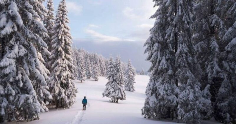 Colorado Backcountry: Guided Snowshoe Tour - Final Thoughts