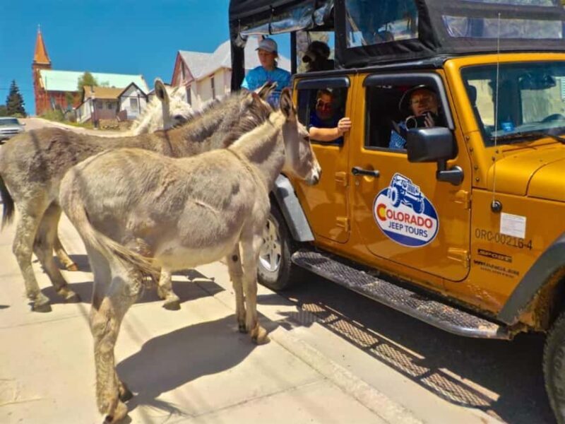 Colorado Jeep Tours - Gold Belt Tour - Introduction: An Authentic Colorado Adventure