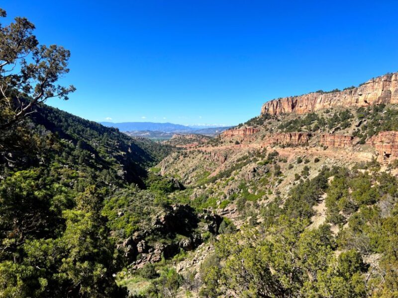 Colorado Springs: Cripple Creek Backcountry Jeep Tour - Value and Cost Analysis
