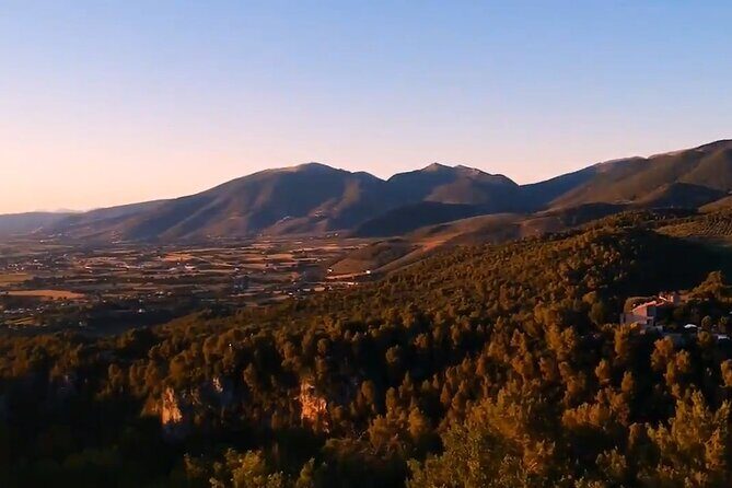 Colorful Tagliatelle & Walnut Ravioli  Home Cooking in Spoleto - Authentic Umbrian Cooking in Spoleto: A Deep Dive into the Colorful Tagliatelle & Walnut Ravioli Home Cooking Tour