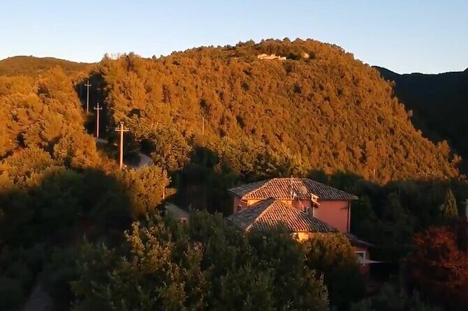 Colorful Tagliatelle & Walnut Ravioli  Home Cooking in Spoleto - Authenticity and Real Experiences