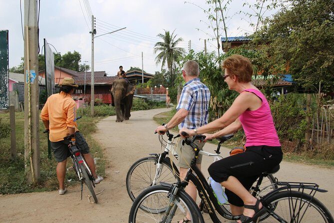 Colors of Ayutthaya Full-Day Bike Tour - Who Should Consider This Tour?