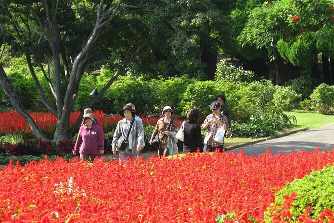 Colors of Japan, Fukuoka Nokonoshima Island Park & Wagyu BBQ - Key Points