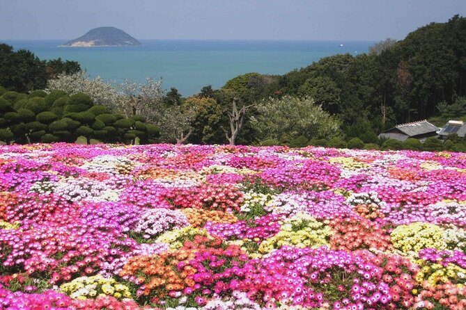 Colors of Japan, Fukuoka Nokonoshima Island Park & Wagyu BBQ - Practical Tips and Considerations