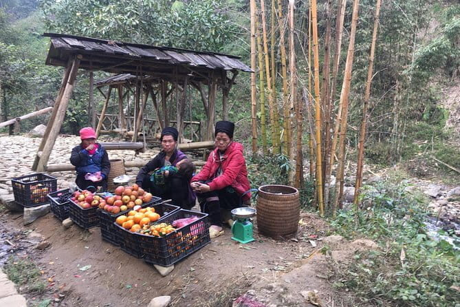 Colors of Sapa - Vietnam 2 Days Tour - A Closer Look at the Itinerary