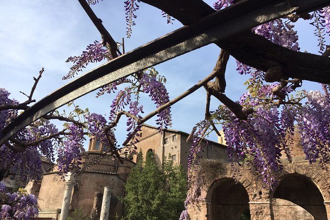 Colosseum and Ancient Rome - private tour - Authentic Experiences from Reviews