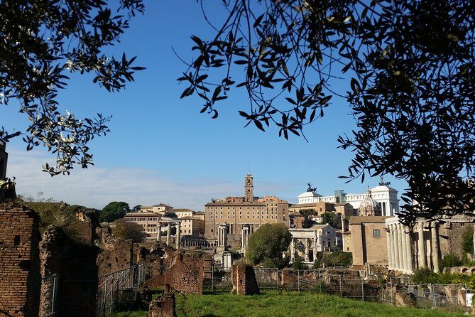 Colosseum and Roman Forum Private Tour led by an archaeologist - FAQ