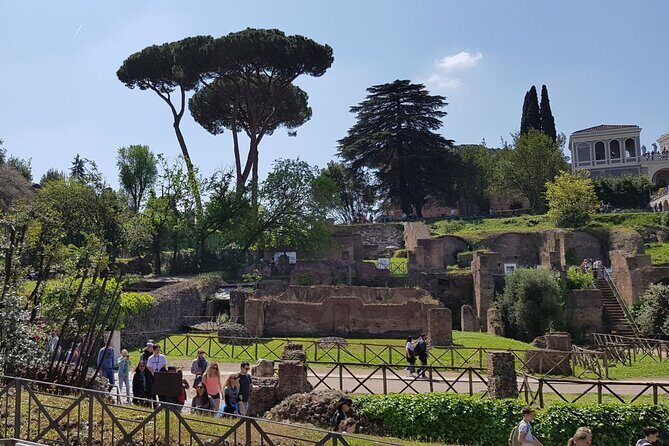 Colosseum Arena Floor Roman Forum and Palatine Hill Live Guide - A Deep Dive into the Experience