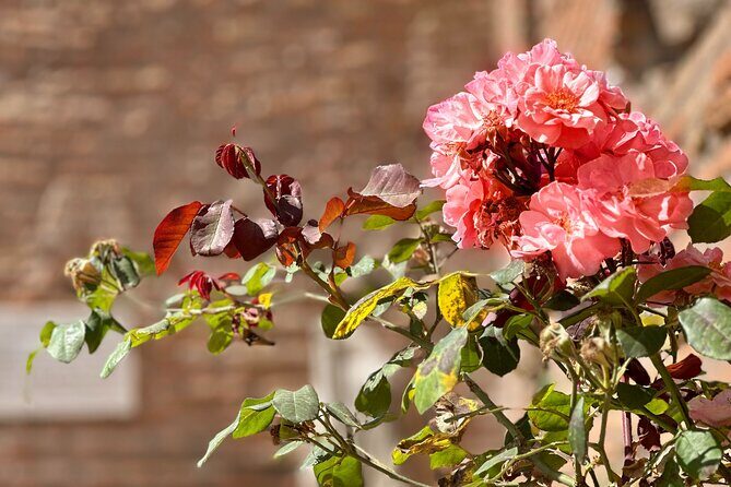 Colosseum Guided Tour with Roman Forum & Palatine Hill - FAQ