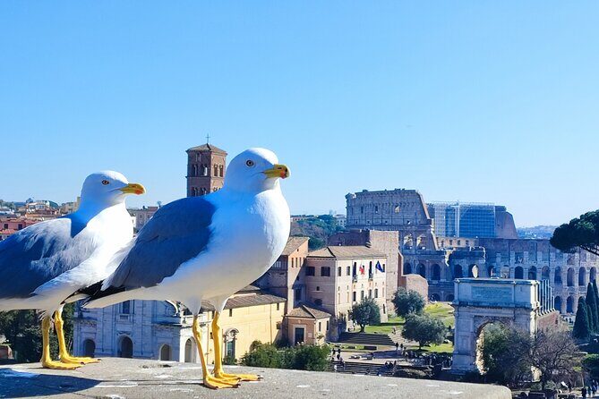 Colosseum, Roman Forum & Palatine Hill - Group Tour - Practical Details: What to Expect