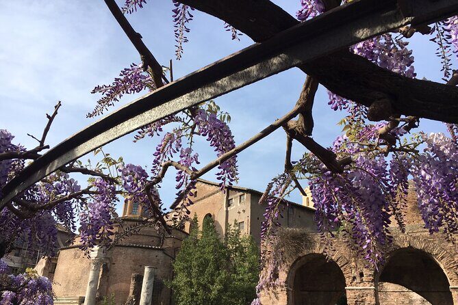 Colosseum with Arena Floor, Roman Forum and Palatine Hill - Private Tour - Final Thoughts