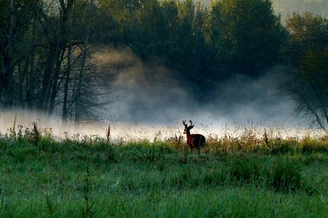 Columbia Gorge Waterfalls & Wineries from Portland: All-Inclusive Afternoon Tour - Final Thoughts