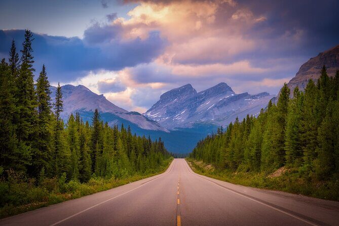 Columbia Icefield Adventure,Bow Lake,Peyto Lake in Banff & Jasper - The Sum Up