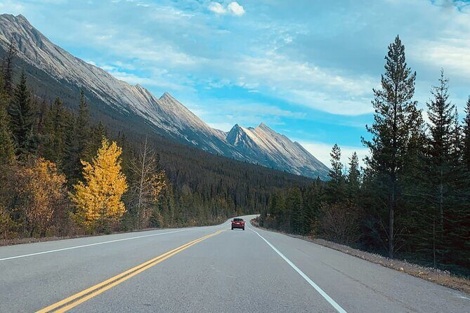 Columbia Icefield Parkway Peyto lake Bow lake Day Trip - Practical Tips
