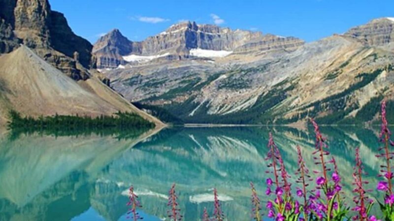 Columbia Icefield, Skywalk, Crowfoot Glacier, and Lakes Tour - Who Is This Tour Best For?