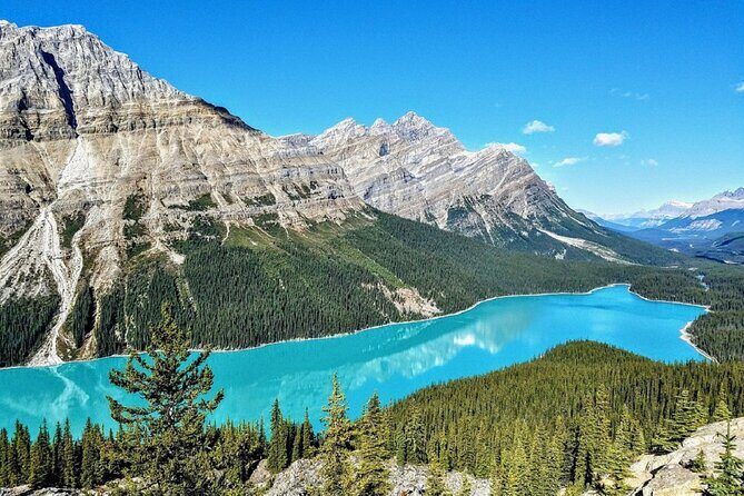 Columbia Icefield,Peyto Lake,Bow Lake Day Trip from Banff/Calgary - FAQ