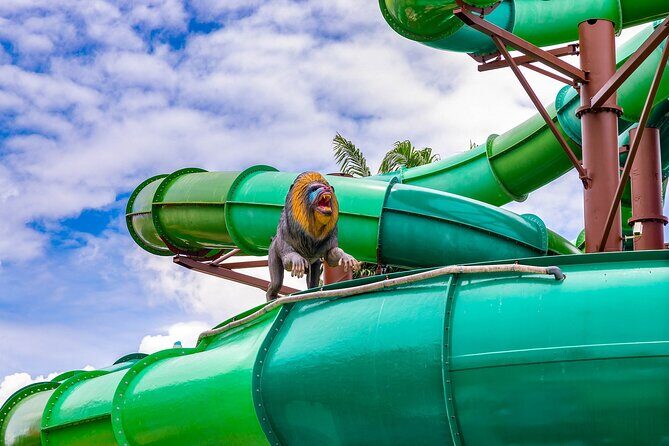 Columbia Pictures Aquaverse Theme Park - Pattaya - Authentic Experiences from Visitors