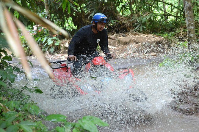 Combination ATV QUAD Bike Ride & Jungle Swing with Complimentary Lunch - Who Should Consider This Tour?
