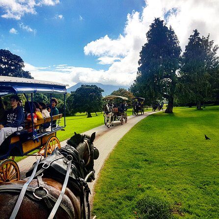 Combination Killarney Jaunting Car Tour and Lakes of Killarney Cruise - Who Should Consider This Tour?