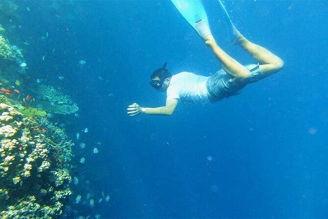 Combination Tour: Ayung river rafting With Blue Lagoon Snorkeling - Key Points
