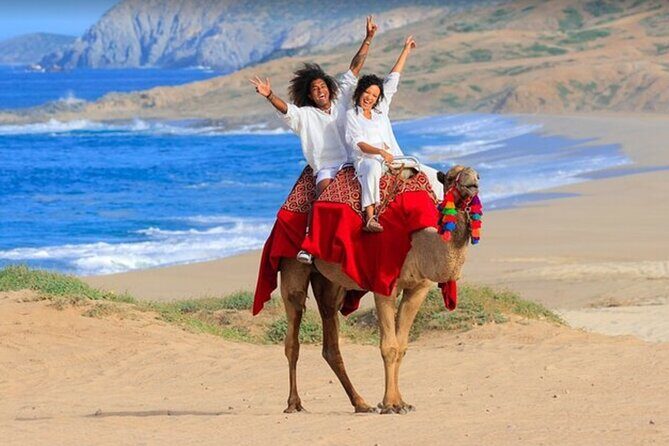 Combination Tour in Cabo San Lucas Mexico - Authentic Experiences and Traveler Insights