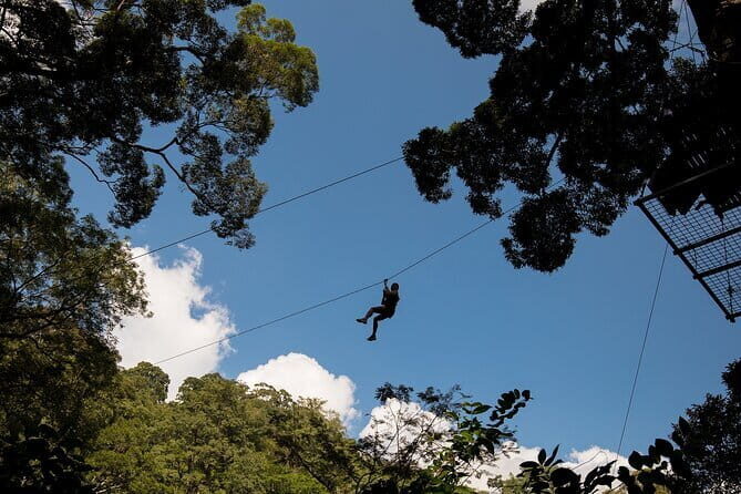 Combine World C Zipline Adventure at Hanuman World - The Ziplines: Speed, Suspense, and Scenic Vistas
