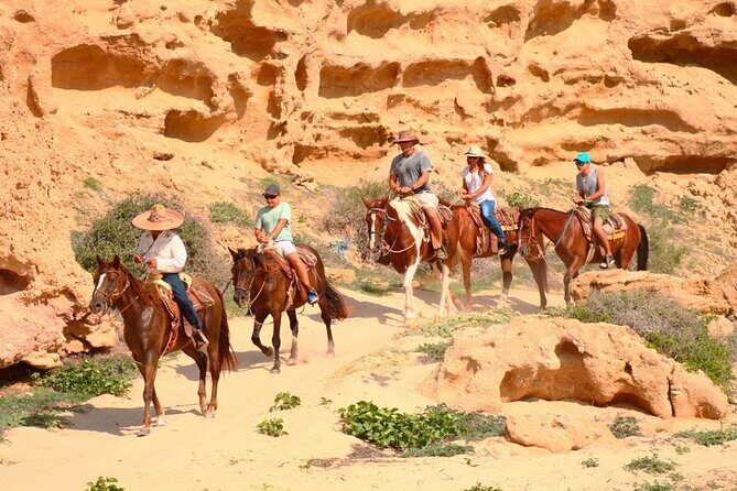 Combined ATV and Horseback Ride/Tequila Tasting - A Closer Look at the Experience