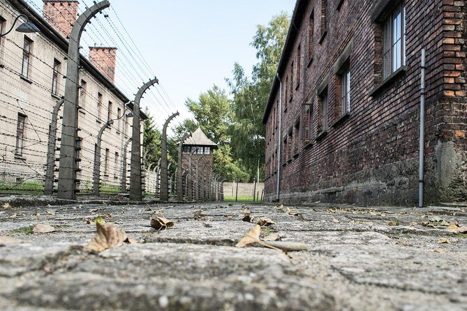 Combined: Auschwitz Birkenau and Salt Mine private chauffeur from Krakow - A Closer Look at the Itinerary