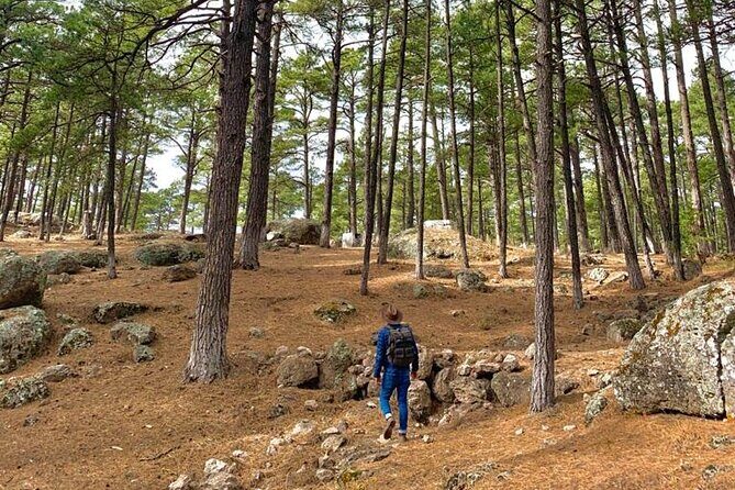 Combined Tour - Frequently Asked Questions