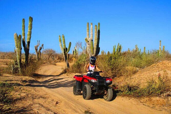Combo 3x1 Adventure with ATV, Camel Ride, and Tequila Tasting - What Travelers Can Expect