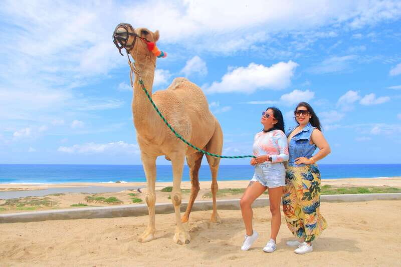 Combo 4X4 Automatic ATV & Camel Ride in Cabo by Cactus Tours - The Experience Provider: Cactus ATV Tours
