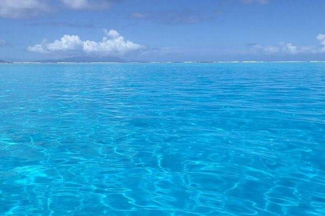 Combo Diving and Snorkeling Half-Day Tour - Who Should Choose This Tour?