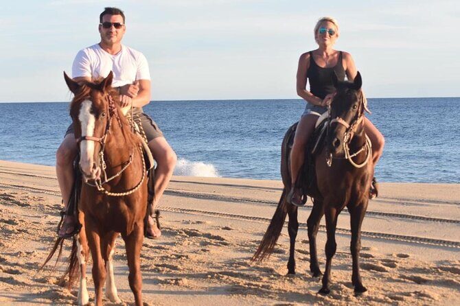 Combo Double Utv + Horses - FAQs