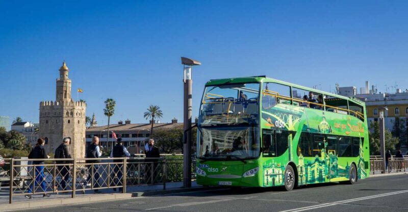 Combo: Hop on hop off + Flamenco Show & Walking tours - Who Should Consider This Tour?