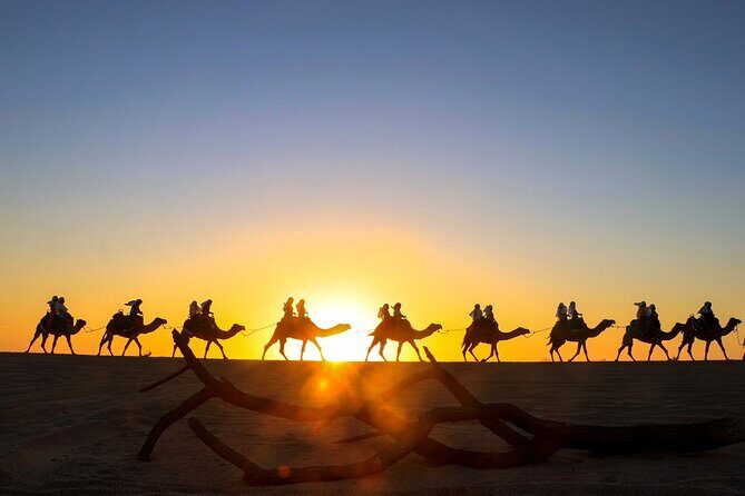 Combo Horseback ride & Sky Bike in Cabo by Cactus Tours Park - What to Expect on Your Adventure
