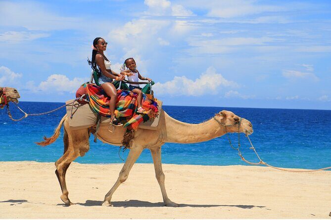 Combo Horseback ride & Sky Bike in Cabo by Cactus Tours Park - Who Will Love This Tour?
