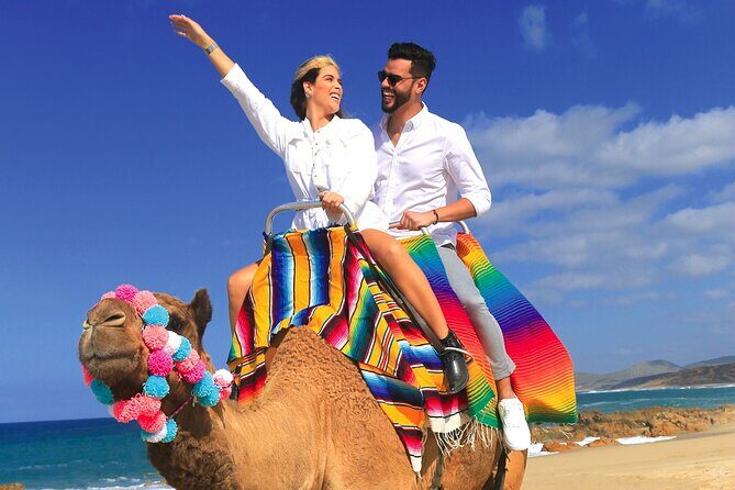 Combo Horseback ride & Sky Bike in Cabo by Cactus Tours Park - Final Thoughts: Is It Worth It?