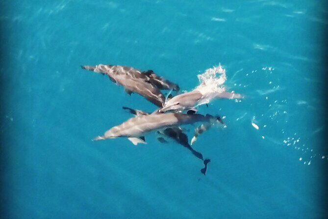 Combo Jet Ski Excursion + 4X4 Safari - What to Expect from the Itinerary