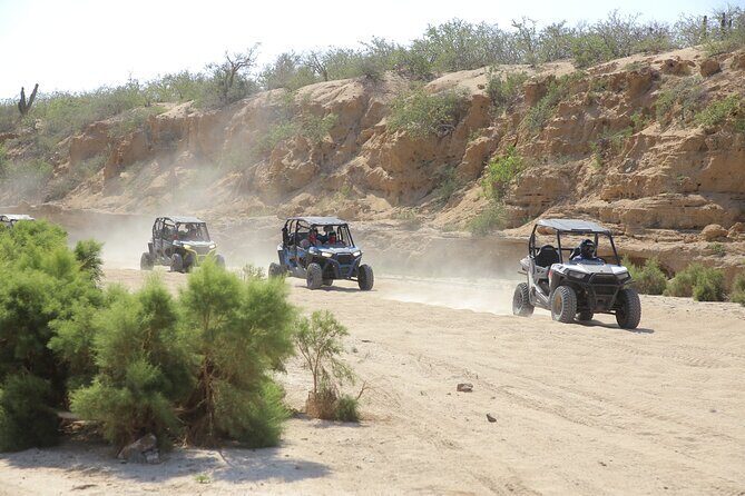 Combo Off Road 4x4 UTV Camel Ride Lunch and Tequila Tasting - Key Points