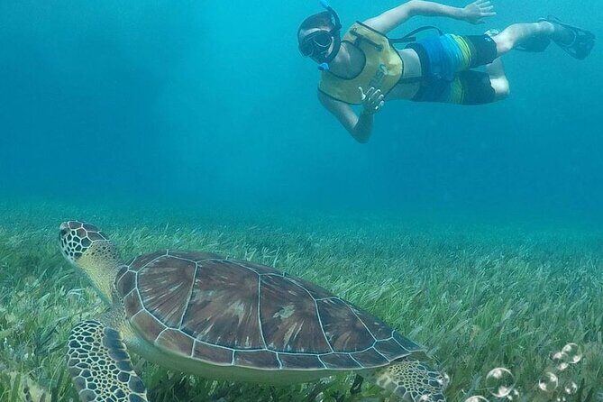 Combo Parasailing and Amazing snorkeling in Cancun - The Sum Up